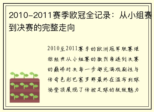 2010-2011赛季欧冠全记录：从小组赛到决赛的完整走向